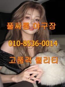 야구장 시스템