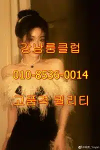 풀싸롱이용법